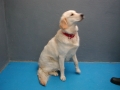 DSCN0059
