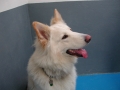 DSCN0065