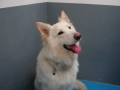 DSCN0067
